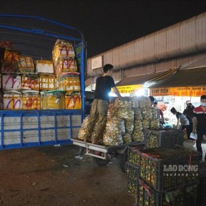 Cần nam bốc vác, bưng rau củ quả ở chợ đầu mối Thủ Đức. Lương 12tr