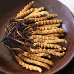 EM Ở GẦN BƯU ĐIỆN THÀNH PHỐ, QUẬN 1 CẦN CHỊ CHĂM BÀ LƯƠNG 12 TRIỆU