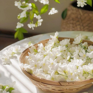 Tuyển Gấp Chị Giúp Việc Làm Việc Ở gần The Garden Mall, Quận 5.