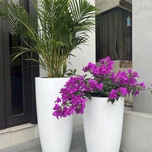 Gia đình 4 người, bé 5 tuổi tìm gvn