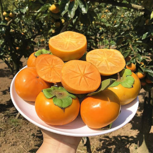 Nhà em cần gấp cô giúp việc nhà khu vực Quận Phú Nhuận. Lương 13 triệu ( bao ăn ở)