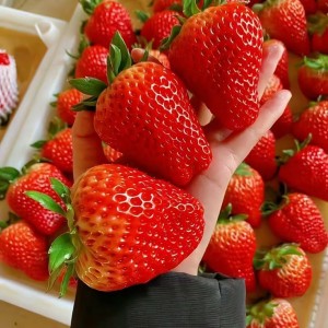 Tìm người phụ giúp việc nhà - Quận 1, lương 13 triệu ( bao ăn ở )