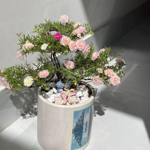 Em mẹ đơn thân cần chị về giúp việc nhà ở Quận 10 lương 10 triệu ( bao ăn ở lại )