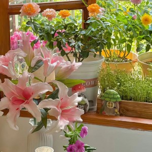 🏡 GIA ĐÌNH CẦN CÔ GIÚP VIỆC BIẾT NẤU ĂN –NGUYỄN BÁ TUYỂN- TÂN BÌNH