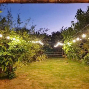 Hôm nay Em Có Công việc tại Bến Tre - Lương từ 7-8tr Bao Ăn Ở