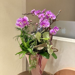 Cửa hàng quần áo nhỏ tại Biên Hòa  cần cô phụ bán hàng