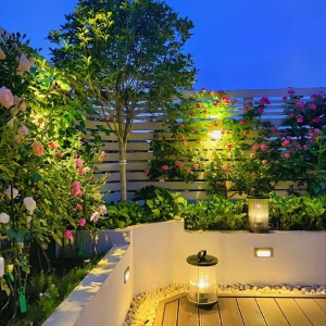 Nhà ở Biên Hòa cần cô chăm bà bị tiểu đường nhẹ, vẫn tự đi lại được