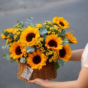 Tìm người giúp việc nhà quận 3, Gần chợ Bàn Cờ - Lương 10 triệu ( bao ăn ở )