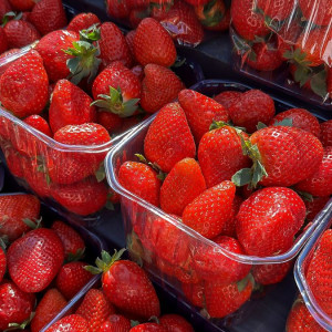 Cần Gấp! Giúp Việc Nhà Quận 1, gần chợ Bến Thành - Lương 11 Triệu, Bao Ăn Ở