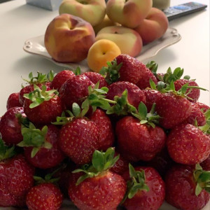 Tìm Người Giúp Việc Nhà Khu Bình Thạnh - Lương Hấp Dẫn 12triệu !