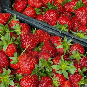 Nhà gần Nhà thờ Tân Định ,quận 3 , cần chị giúp việc nhà, . Lương : 12 triệu ( bao ăn ở )