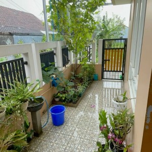 Em cần tìm cô GVN