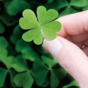 Cần chị chăm ông ĐI VỀ,làm ở quận 3