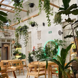 Cần gấp 1 bạn nữ Quản lý quán nước ở Hóc Môn