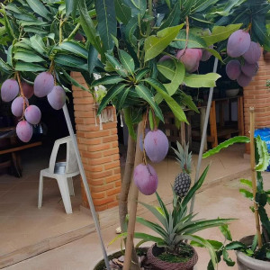 QUẬN 1 CẦN CHỊ CHĂM BÀ LƯƠNG 13 TRIỆU