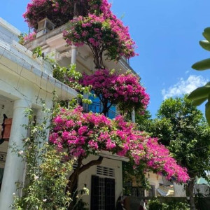 CẦN GẤP CÔ LÀM LƯƠNG 10TR ĐI VỀ