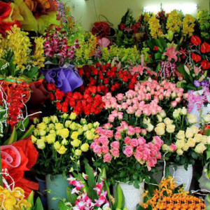 CẦN BẠN NỮ DƯỚI 35 TUỔI CÓ KINH NGHIỆM BÁN ĐỒ LƯƠNG 9TR TẠI GÒ VẤP