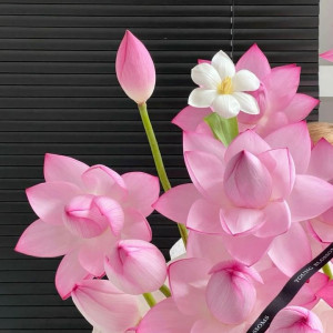 Công việc ngày 5/1- 23/1 ( bao ăn ở ) cần các chị đi làm