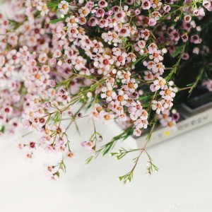 Nhà em cần chị giúp việc nhà quận Bình Thạnh, Lương 12 triệu ( bao ăn ở )