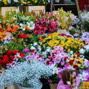 Cần Nữ Bán Ở Lại Cho Cửa Hàng Hoa Tươi Quận Phú Nhuận - Lương 8tr