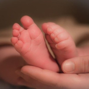 Em nhận chị chăm em làm bao ăn ở tại đường Tạ Quang Bửu- Quận 8 Lương 10tr