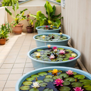 Cần chị giúp việc đi làm ngay được tại chung cư Quận 1 đường Nguyễn Thái Bình