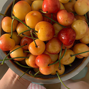 LƯƠNG 13 TRIỆU CẦN CHỊ VỀ GIÚP VIỆC NHÀ Ở VỚI BÀ EM 70 TUỔI