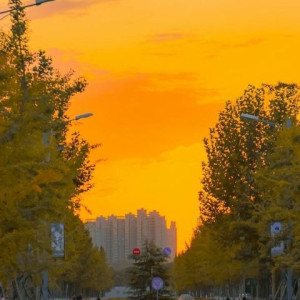 Cần gấp 3 chị chăm bé sơ sinh lương thử việc 10tr bao ăn ở ạ