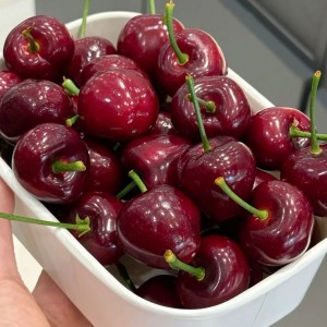 TUYỂN CÔ LO CƠM NƯỚC VÀ NHÀ CỬA