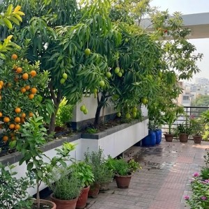 TUYỂN NAM LÀM VƯỜN Ở LẠI