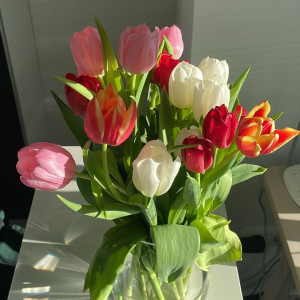 Nhà ở Bình Dương , 1 trệt 1 lầu 2 người lớn