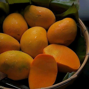 EM Ở QUẬN 3 ĐƯỜNG BÀ HUYỆN THANH QUAN TÌM 1 CHỊ GIÚP VIỆC LƯƠNG 13 TRIỆU