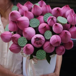 GẤP! Tuyển Giúp Việc Chung Cư Quận 2 - Lương 12 Triệu