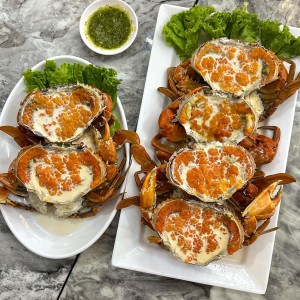 Chung Cư Hà Đô Quận 10 Cần Cô Giúp Việc Nhà