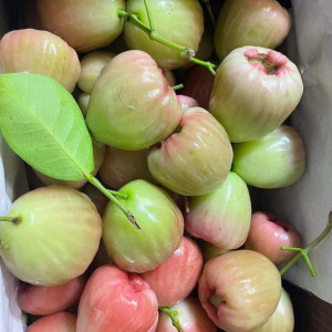 NGUYỄN CHÍ THANH , QUẬN 10 CẦN CHỊ GIÚP VIỆC NHÀ LƯƠNG 12 TRIỆU+ PHỤ CẤP 1 TRIỆU