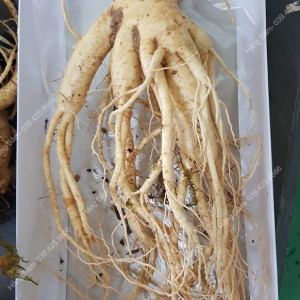 EM ĐANG CẦN CHỊ CHĂM BÀ Ở QUẬN 8 LƯƠNG 12 TRIỆU