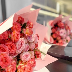 CẦN TÌM CÔ GIÚP VIỆC NHÀ Ở QUẬN PHÚ NHUẬN,• Bao ăn ở, Lương 11 triệu