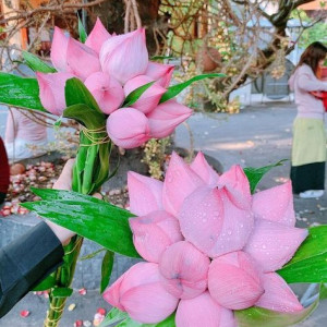 NHÀ EM Ở ĐƯỜNG ĐẶNG THUỲ TRÂM , BÌNH THẠNH CẦN CHỊ CHĂM BÉ 6 THÁNG LƯƠNG 9 TRIỆU