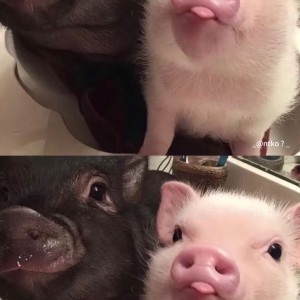 Tuyển phụ quán cà phê ở gần cầu Lớn Hóc Môn