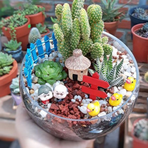 Tìm chị giúp việc nhà chịu khó có thể đi làm ngay tại Bình Thạnh lương 12 triệu