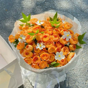 Tuyển Chị Giúp Việc Nhà Quận Phú Nhuận, gần chợ Nguyễn Đình Chiểu -  Lương 8 triệu( bao ăn ở )