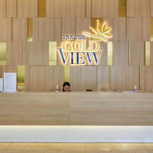 EM ĐANG CẦN GẤP CHỊ GIÚP VIỆC TẠI CHUNG CƯ THE GOLD VIEW - QUẬN 4 LƯƠNG 9TR