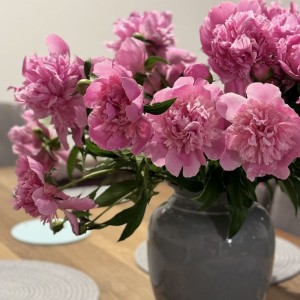 Cần chị giúp việc nhà làm quận Bình Chánh Ở Khu dân cư conic.