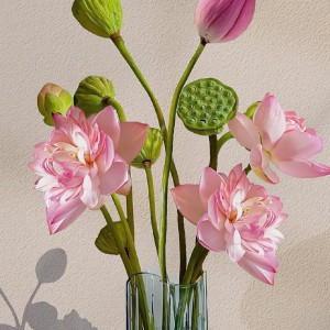 CHUNG CƯ QUẬN 1 CẦN  CÔ GIÚP VIỆC CÓ THỂ ĐI LÀM NGAY