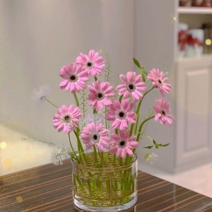 Cần chị chăm bà quận 10 - Lương  12( bao ăn ở )