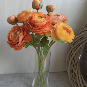 Cần chị giúp việc nhà quận 1 - Lương 13 triệu( bao ăn ở )