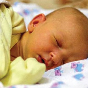 Nhà riêng 1 trệt 1 lầu tại đường Thống Nhất, Quận Gò Vấp cần cô chăm bé 7 tháng