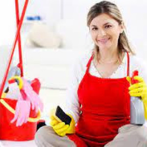 Tuyển cô dọn dẹp nhà - không nấu ăn - không chăm bé