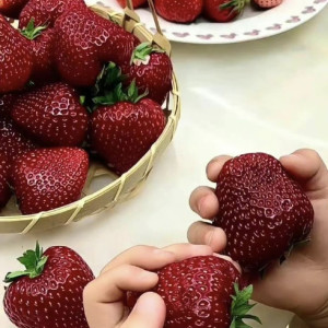 Tìm cô giúp việc nhà quận 8 - Việc nhẹ lương cao, có thưởng!Lương 12 triệu ( bao ăn ở )