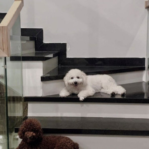 Cần chị dưới 54 tuổi, làm giúp việc nhà, Quận 10